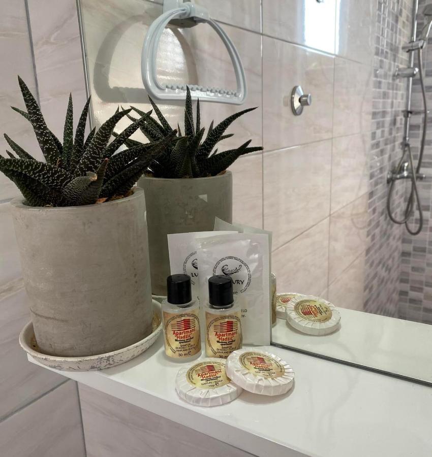Apartmani Hadzic Zivinice Dış mekan fotoğraf